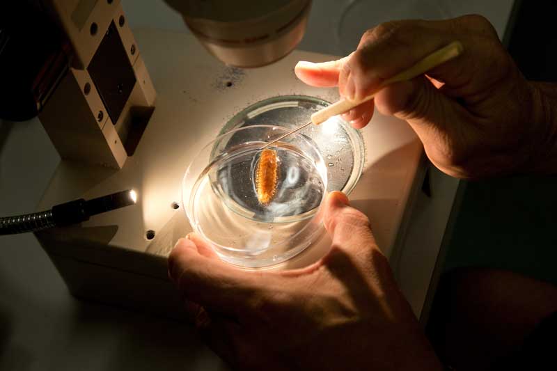 biology lab