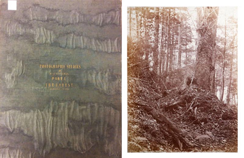 Stillman portfolio and photograph