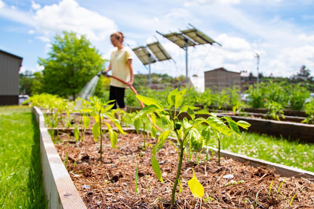 campus e-garden