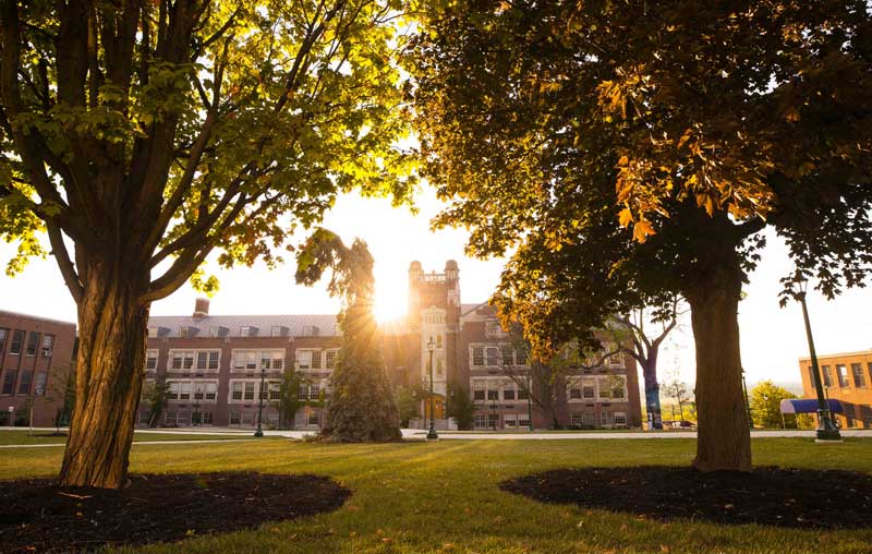 Sun shining on the Sturges Quad