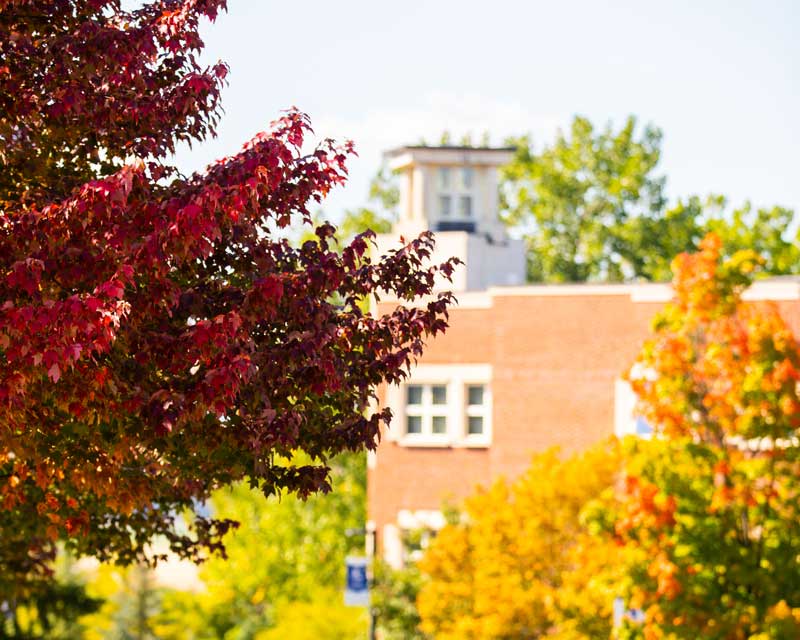 autumn on campus
