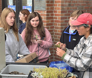 Students look at a plant during the 2022 plant show.