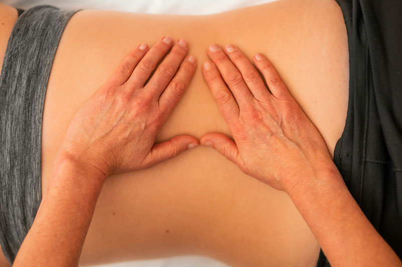 Osteopathic 4+4 with Lake Erie College of Osteopathic Medicine