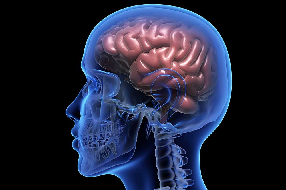 Cognitive Science